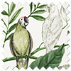 Iquitos, Lush Green - Motorised Roman Blind